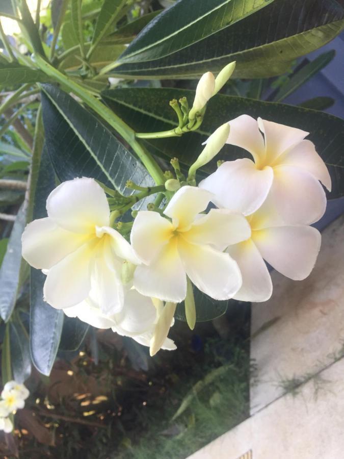 Lemon House Samui Otel Mae Nam Dış mekan fotoğraf